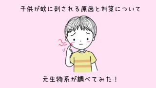 新生児 生後６か月未満の乳児の蚊除けに 使える 使えない 虫除けについて説明 カエデのゆるっと日常ブログ